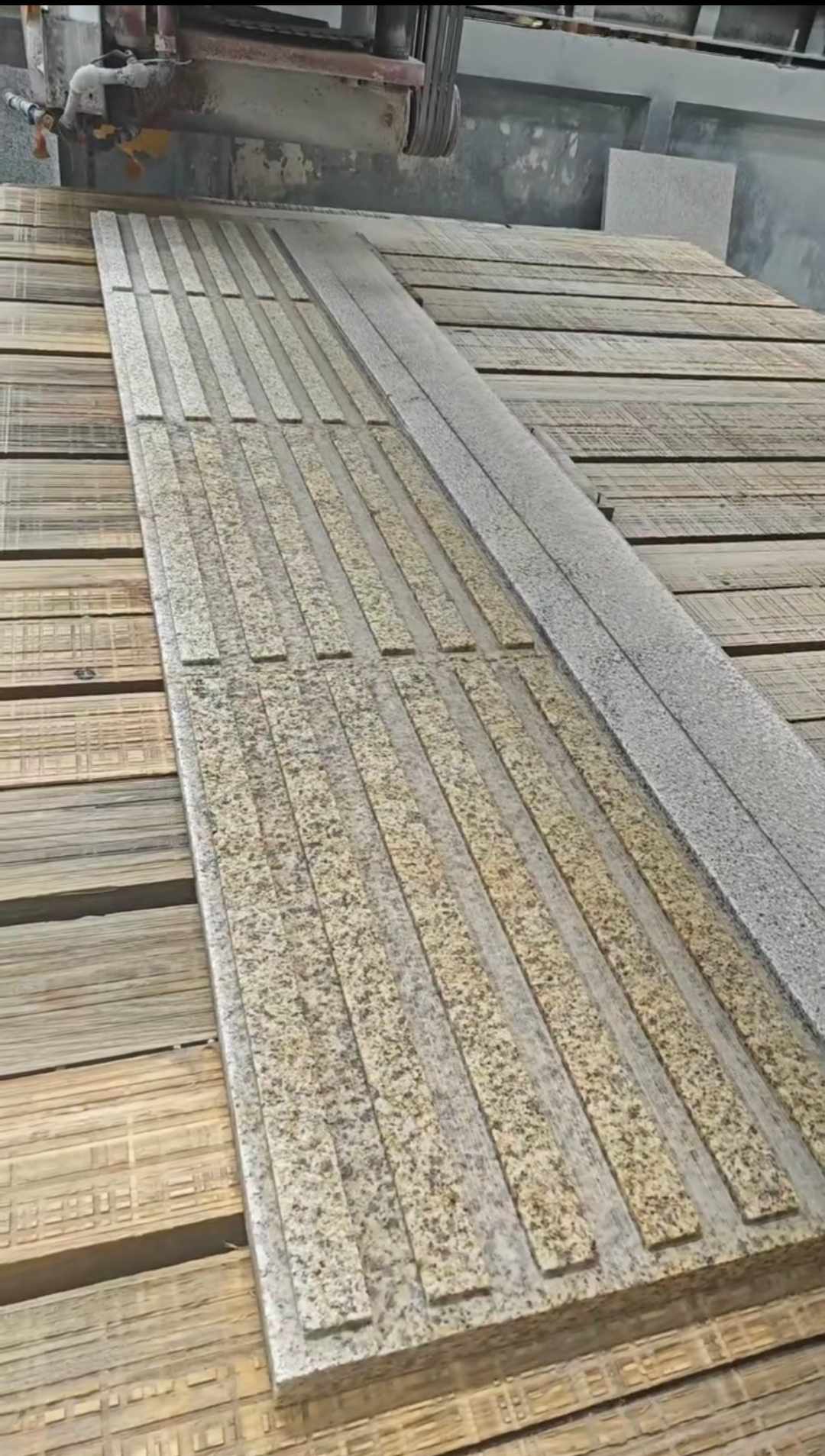 黄石黄金麻盲道石 盲条
